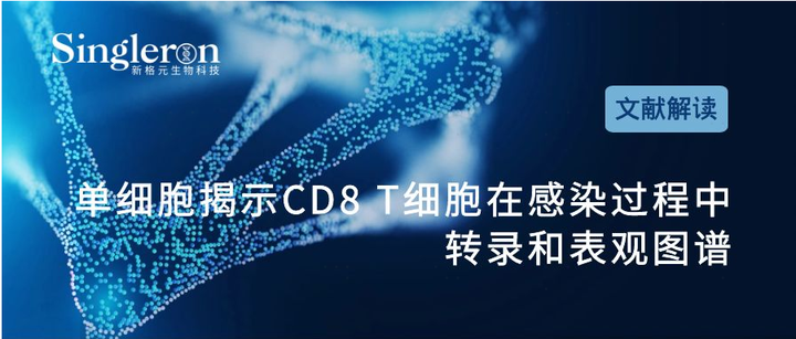 Cd8 T细胞在感染过程中的转录和表观图谱 知乎