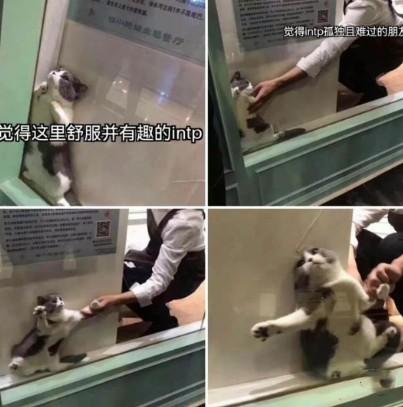 intp男和intp女在一起|intp女朋友|intp的完美情人|intp和intj情侣|intp和infp情侣 - 知乎