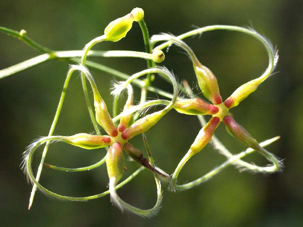 3. 节节攀爬技巧