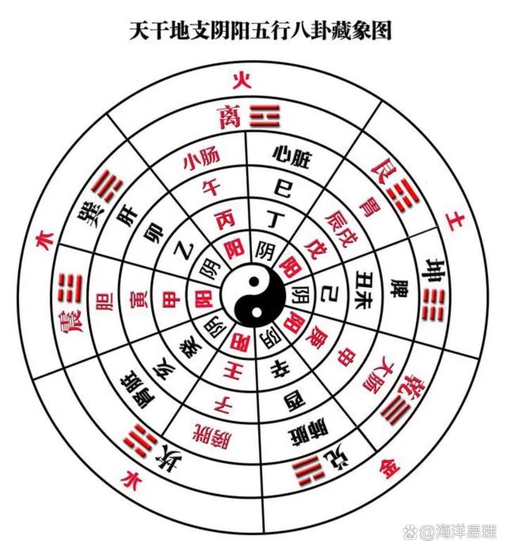 旺衰篇:如何判断一个人的旺衰 - 知乎