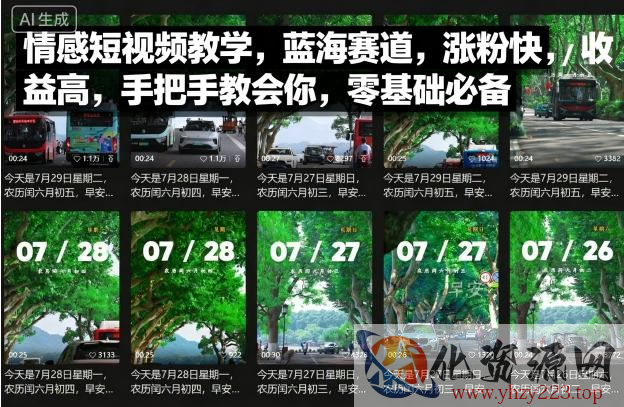 情感短视频教学，蓝海赛道，涨粉快，收益高，手把手教会你，零基础必备