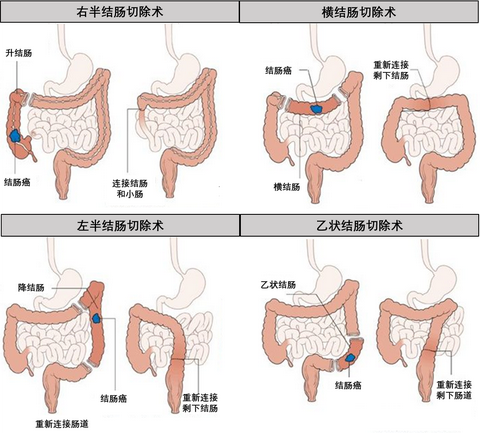 我的收藏夹