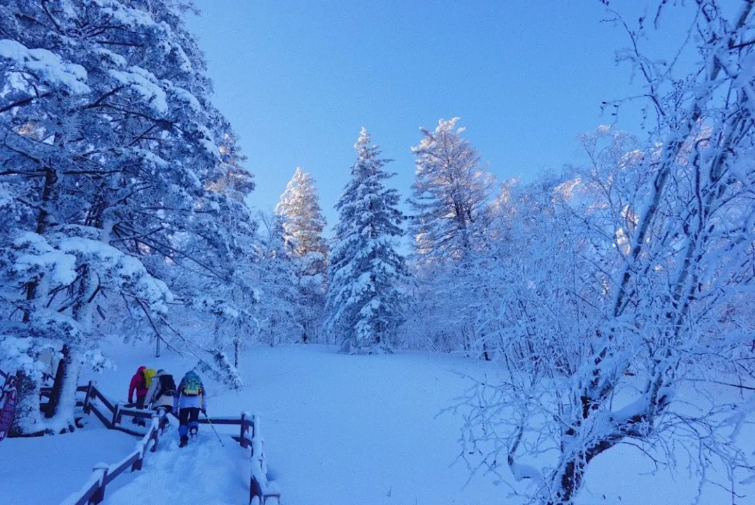 穿林海,跨雪原,走进梦幻雪山,挑战镜泊湖蓝冰徒步 - 知乎