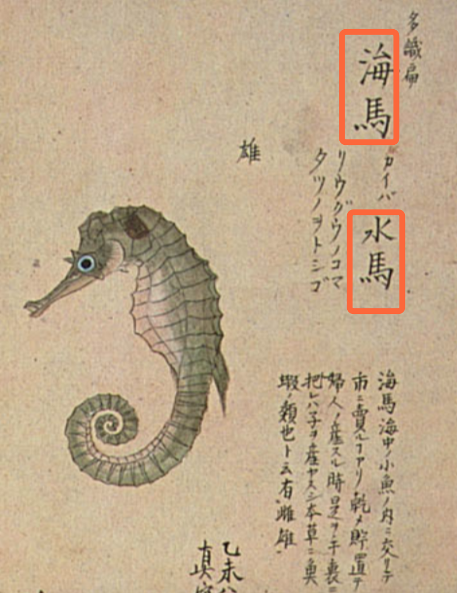 《山海经·北山经》异域奇兽【古今对照】整理——“北山一经”篇 - 知乎