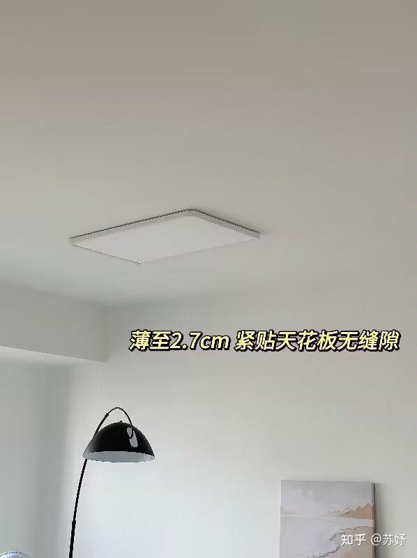 024年 LED吸顶灯怎么选？小时光、雷士、欧普、飞利浦、松下、Yeelight哪个品牌好？ 装修灯具怎么选，客厅吸顶灯如何选？吸顶灯推荐，吸 ...