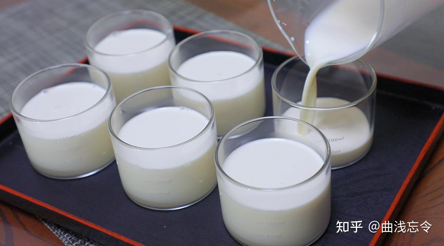经典的原味奶冻!掌握配方轻轻松松搞定!搅一搅就能成功! - 知乎