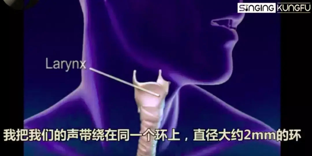 歌者必看!声带是如何工作的? - 知乎