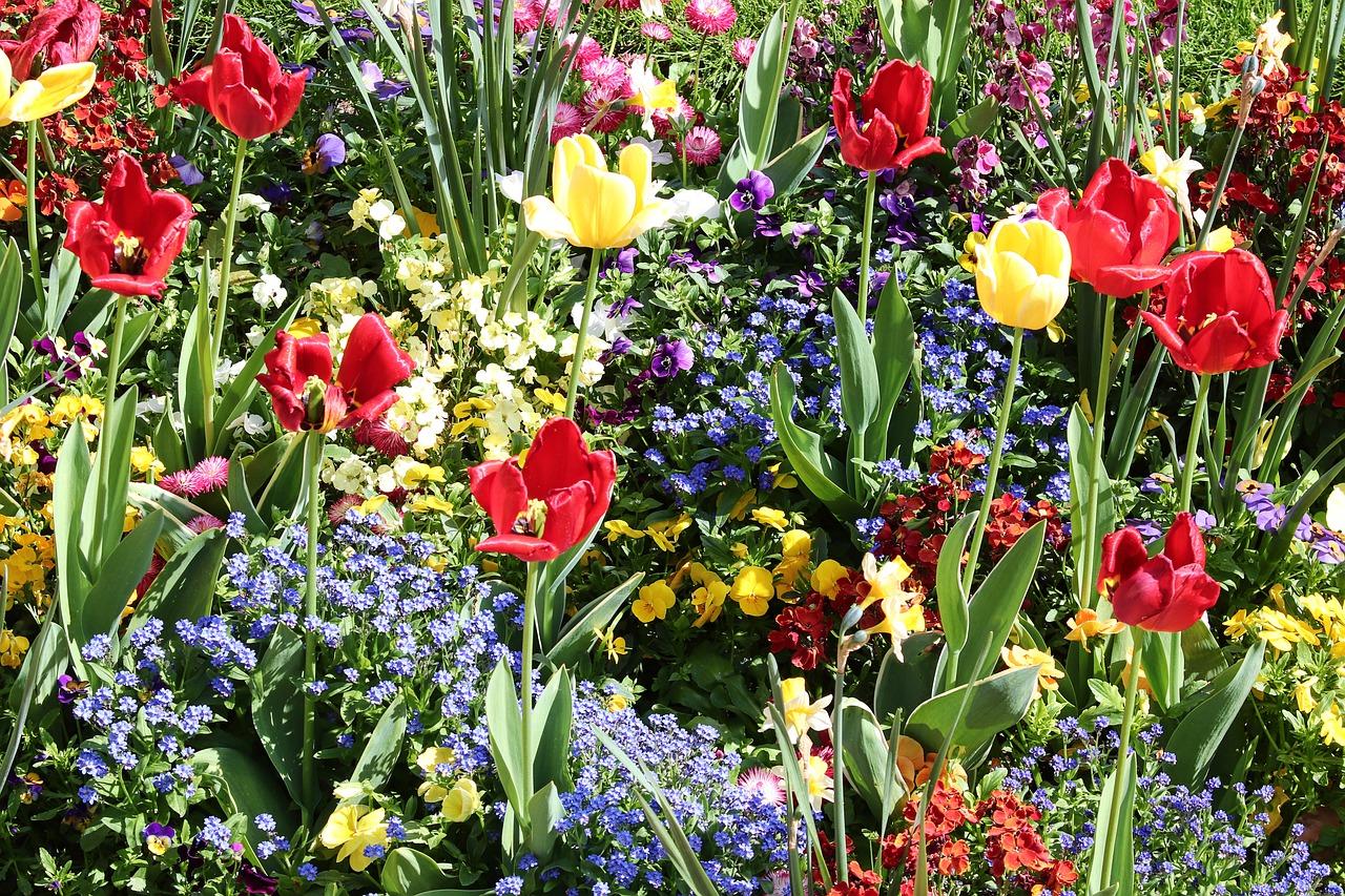 兴隆美丽春天怎么样