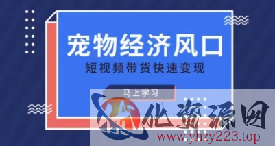 宠物赛道快速变现精品课，宠物经济风口，短视频带货快速变现
