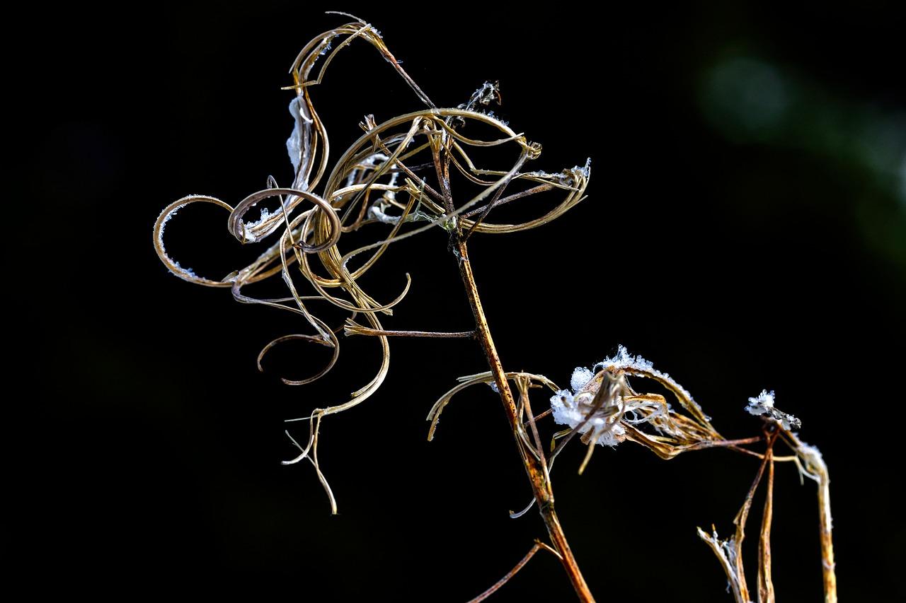 项链褪色用什么清洗