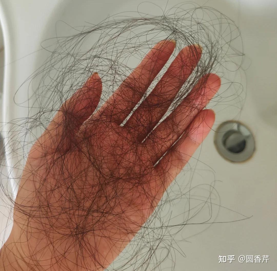 v2-514d96b65ddfd42a4ca38891f9c76fcc_r.jpg