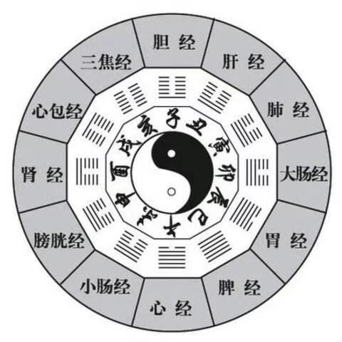#十二时辰养生#之卯时: - 知乎