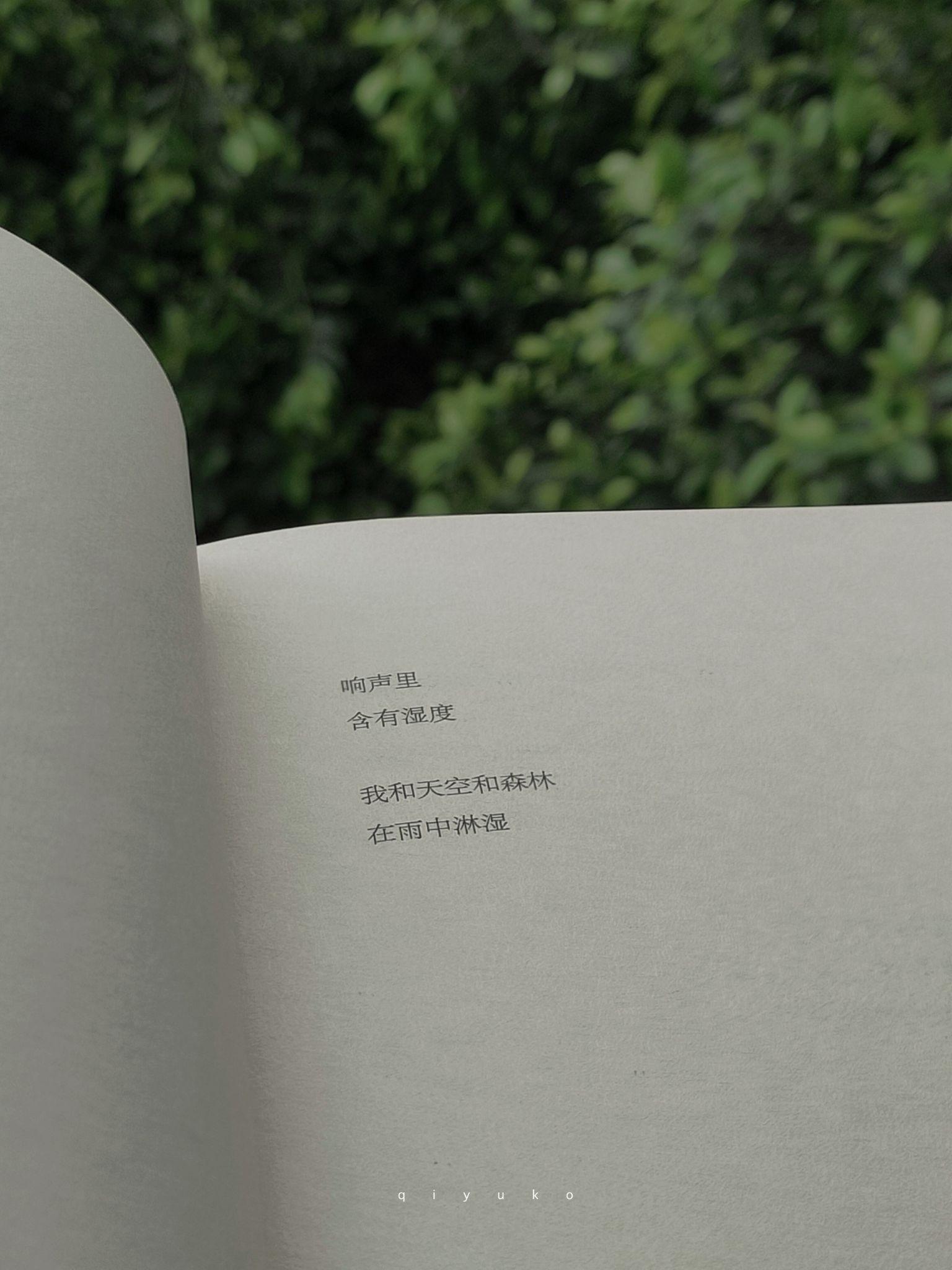 有什么美到极致的绿色壁纸?(绿色壁纸好看卡通动漫)