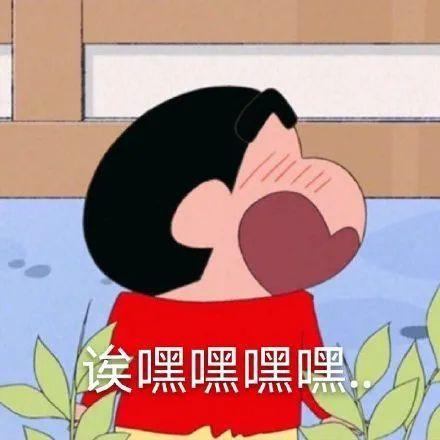 有没有蜡笔小新嘿嘿笑的表情包