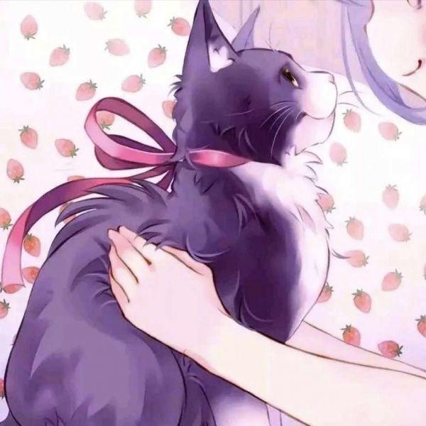 有没有非常非常不明显的情侣头像,特别不明显的情头? - 知乎
