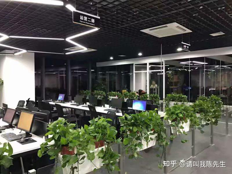 我想开个网店，需要营业执照，我成立个公司，需要报税吗？