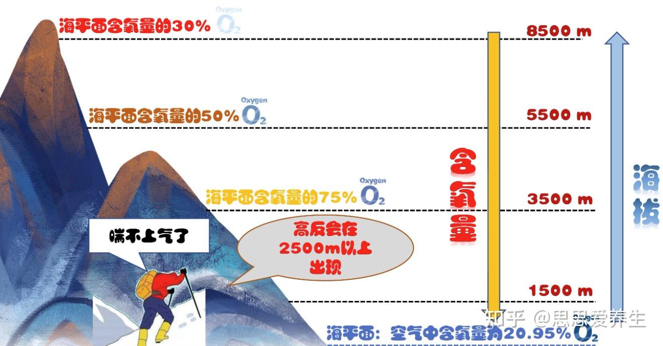 西藏高反怎么办?从此不再害怕高反最全应对指南 - 知乎