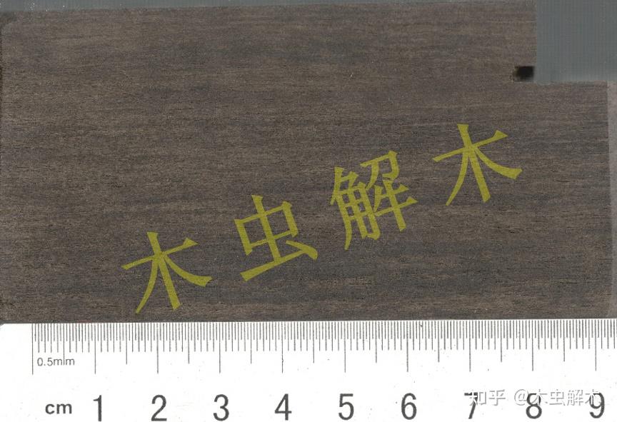 乌木类——乌木、厚瓣乌木 - 知乎