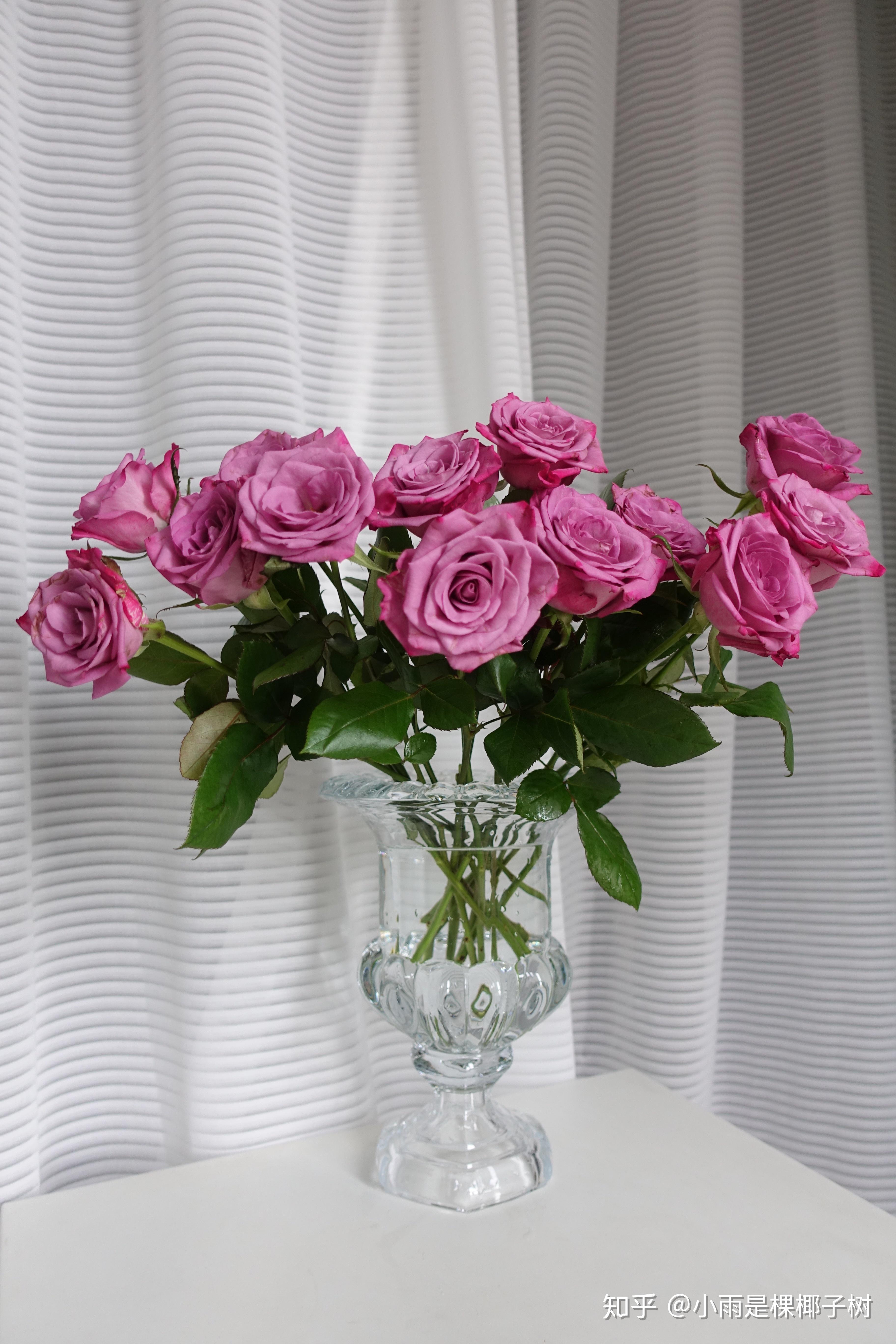 家里摆放鲜花费钱吗