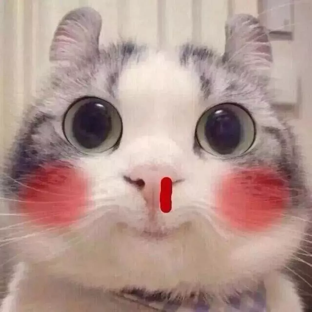 有没有比较可爱又有点搞笑的动物头像?最好是猫? - 知乎