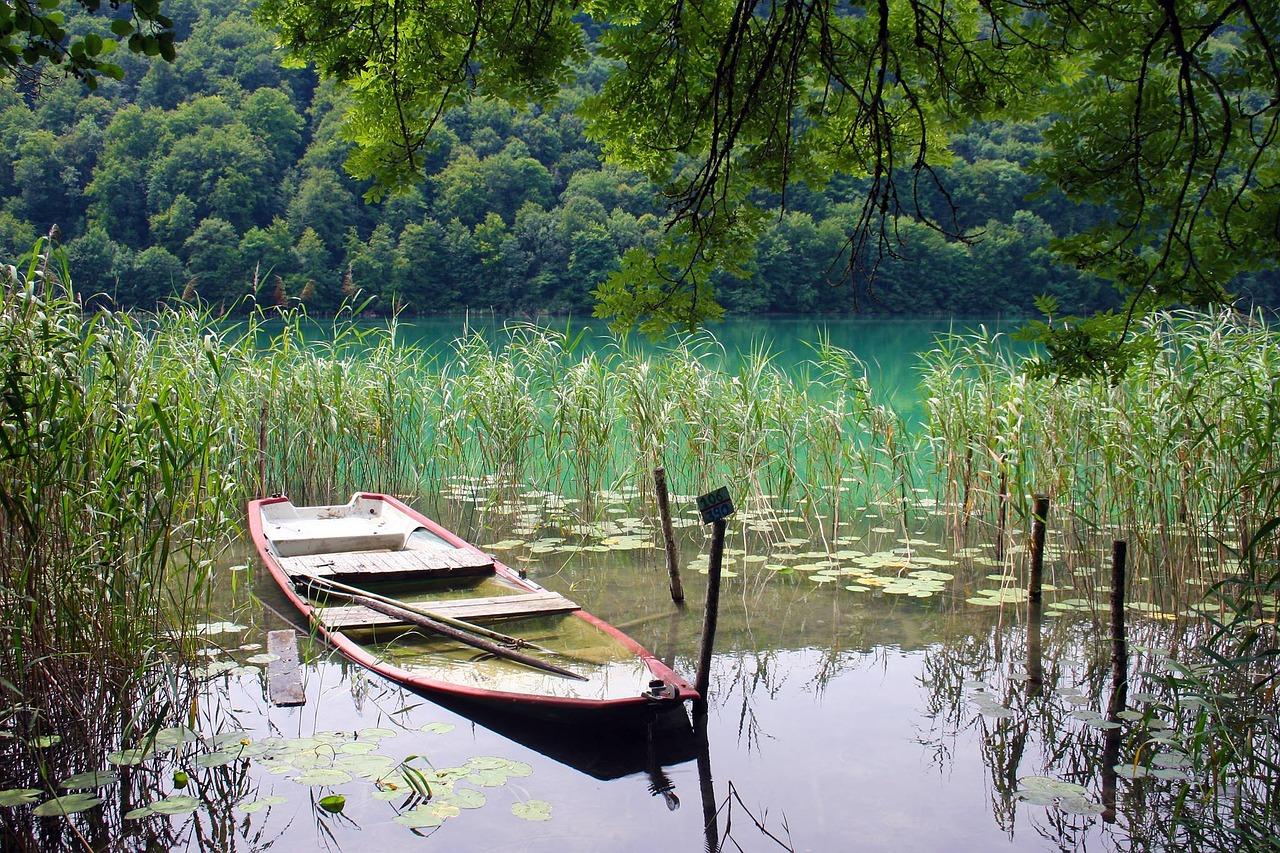 4. 水质标准解读