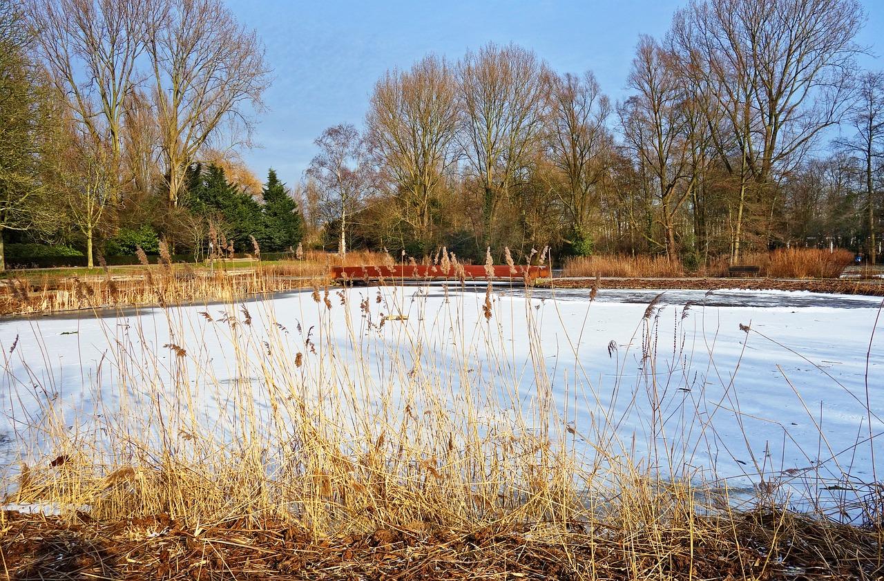 5. 驸马池物业评价
