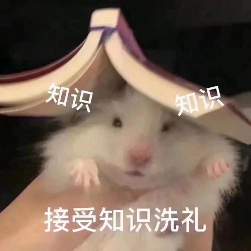 如果把人类所有知识浓缩成一句话，哪一句最不该失传？