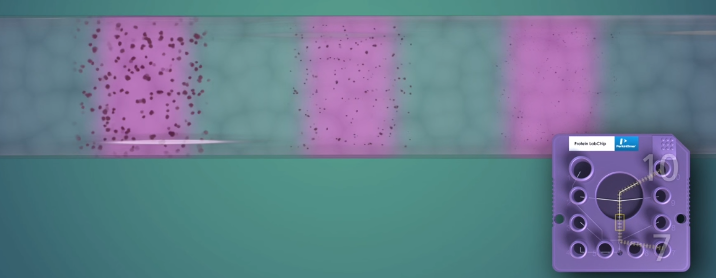 Sds Labchip