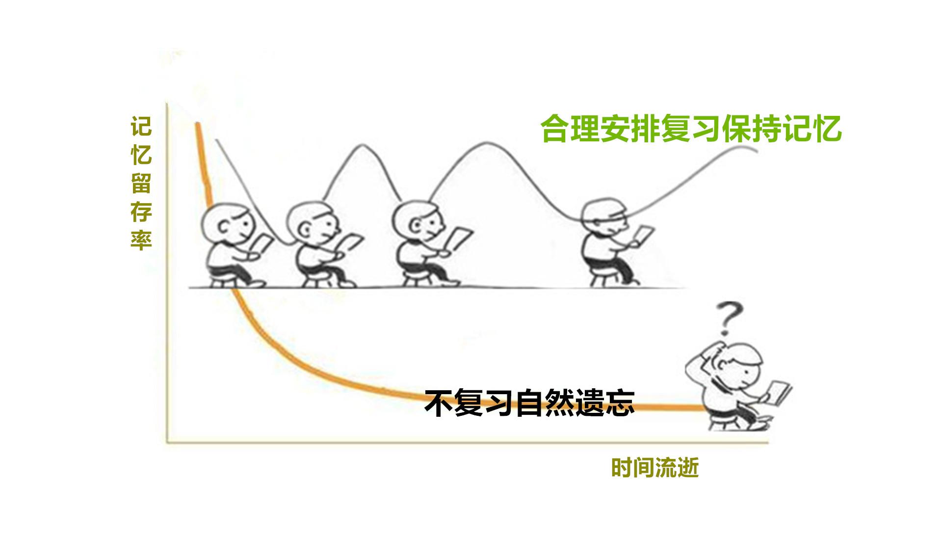 如何用“艾宾浩斯遗忘曲线/遗忘规律”安排学习和复习,帮我们提高记忆效率? - 知乎