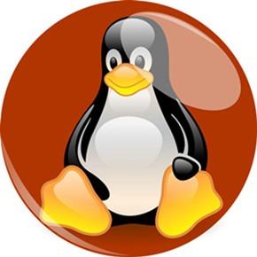 玩转Linux内核