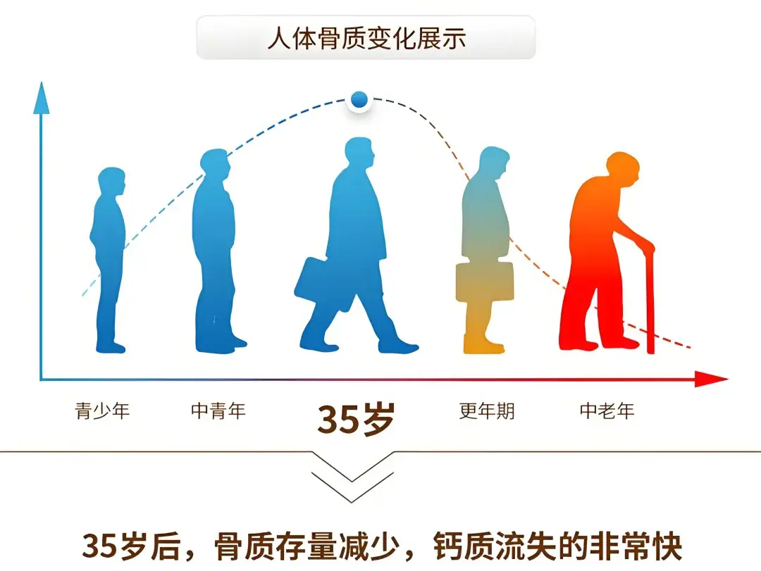 骨密度偏低的情况下,日常生活吃哪些食物能增加骨密度?