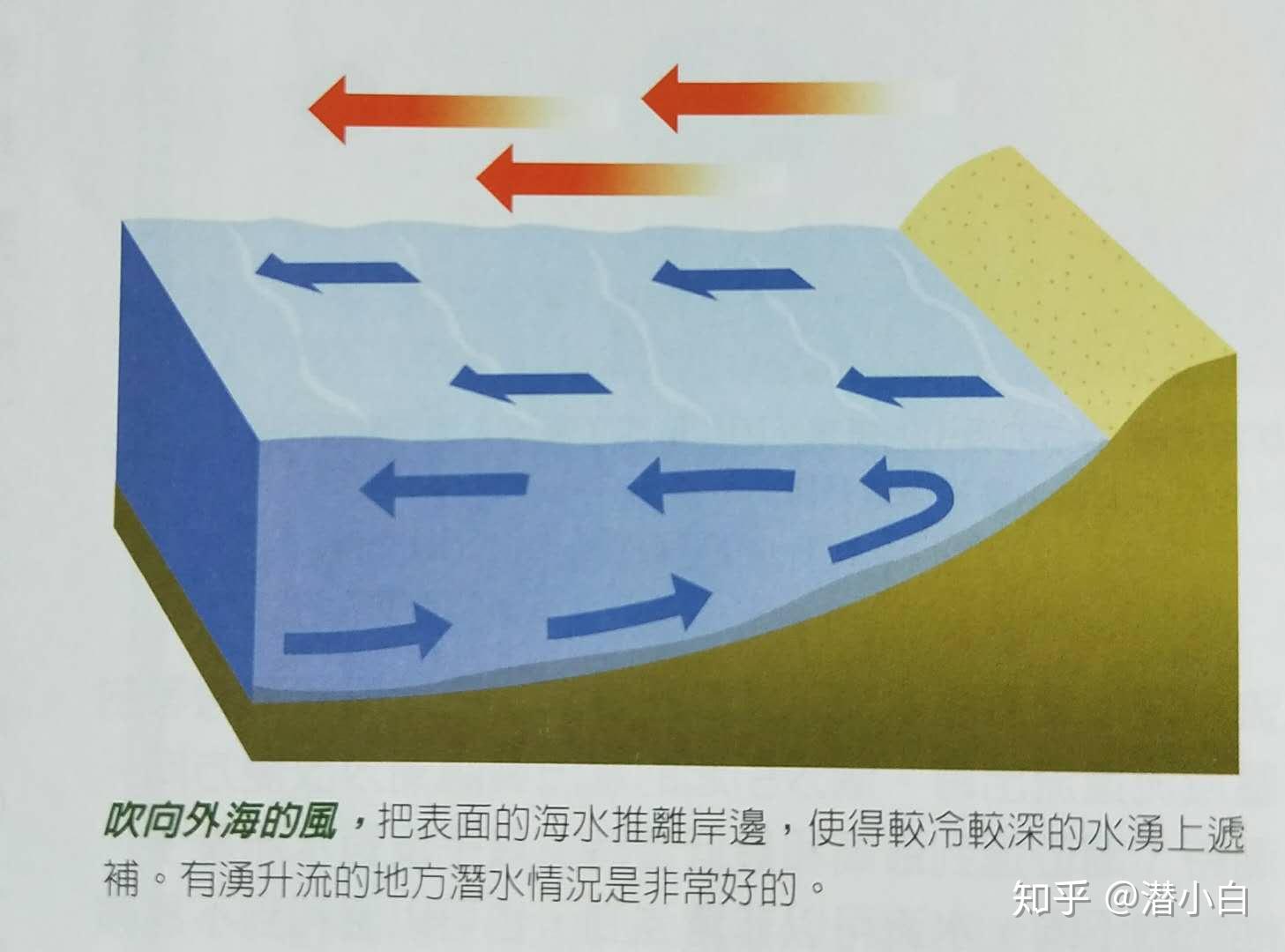 每天学点潜水知识 | 涌升流。 - 知乎