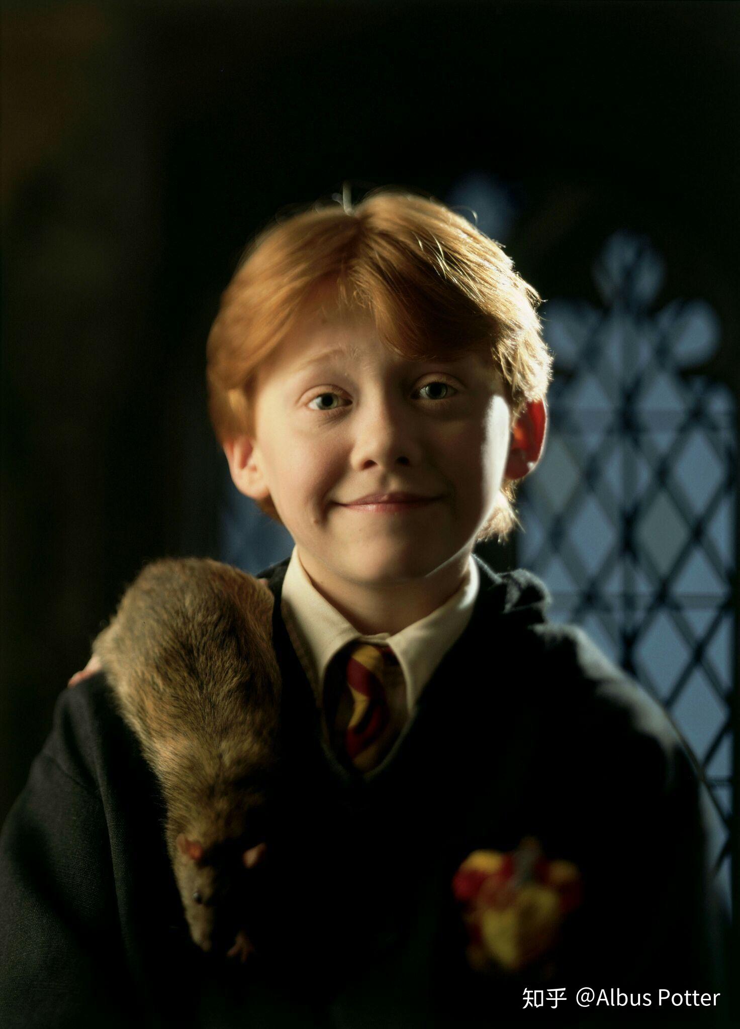有没有高清哈利波特图片高清电脑或者手机壁纸特别是赫敏的