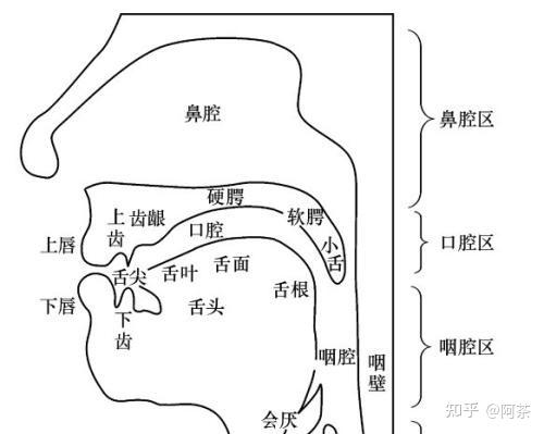 如何读准拨音?日语发音的高阶学习技巧 - 知乎
