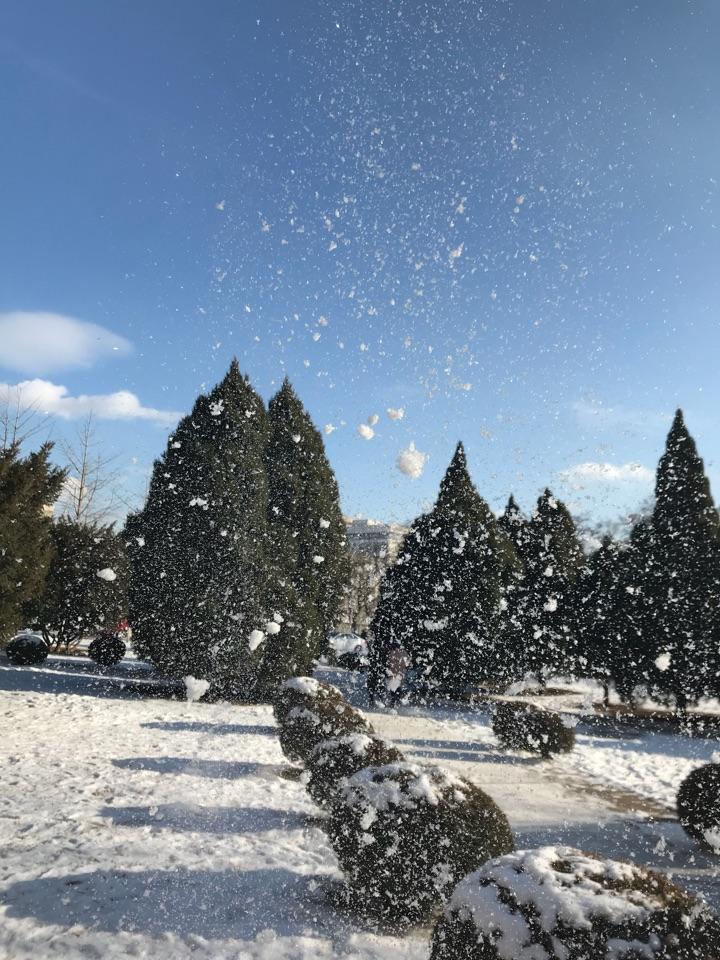 听说这几天南方大雪纷飞北方沈阳还没下过雪麻烦上图看看你们的美丽