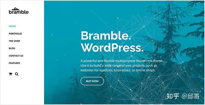22 个适合初创企业的最佳 WordPress 主题 (2023) - 知乎