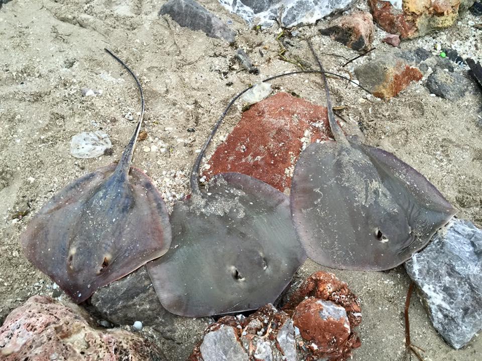 泰国哪些地方值得去?