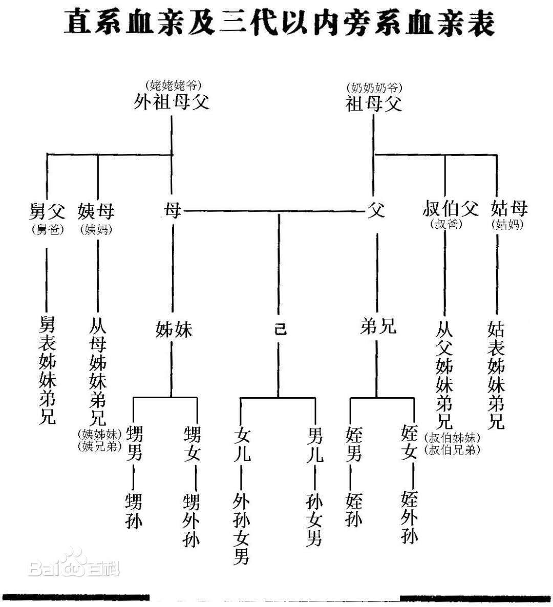 薛丁山的子孙列表家谱图片