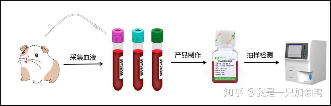 动物抗凝全血 - 知乎