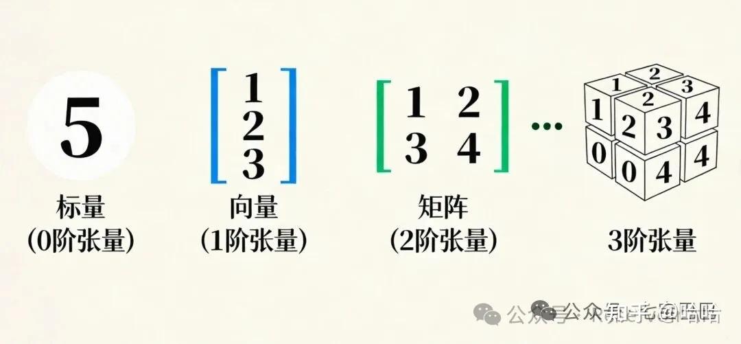 解惑:Tensor是什么?AI里的张量与向量、标量到底啥关系 - 知乎