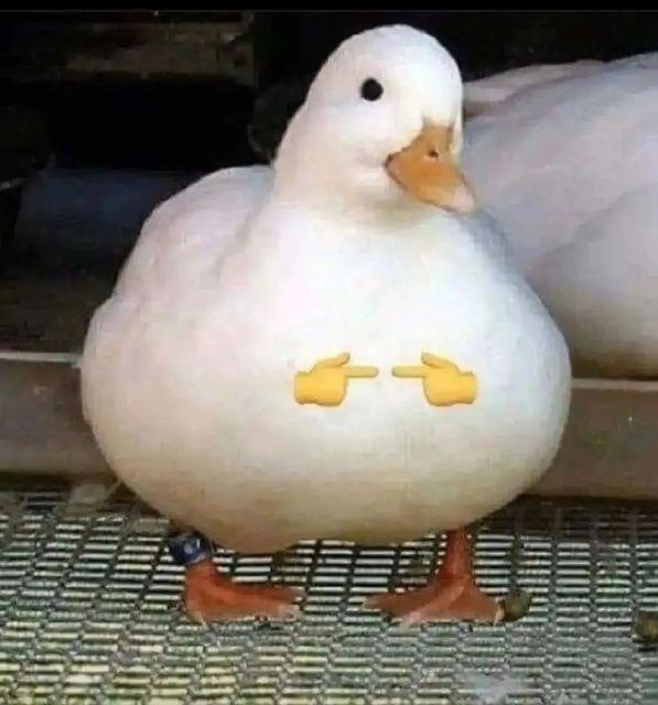 有哪些令人眼前一亮的朋友圈文案