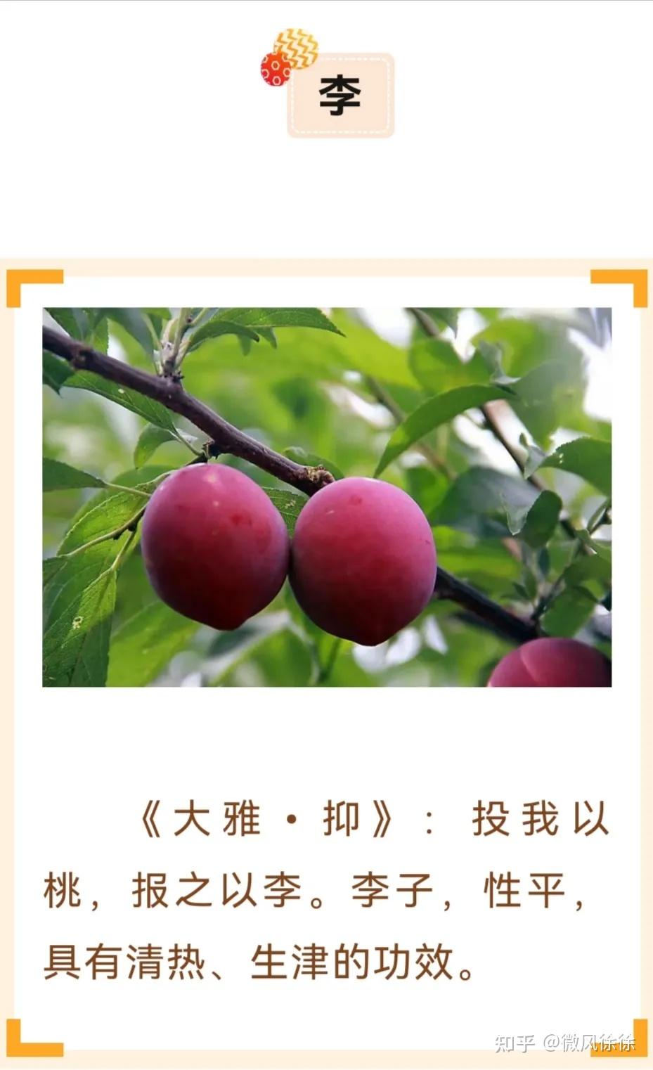 中医养生 | 五谷、五菜、五果、五畜-养生 - 知乎