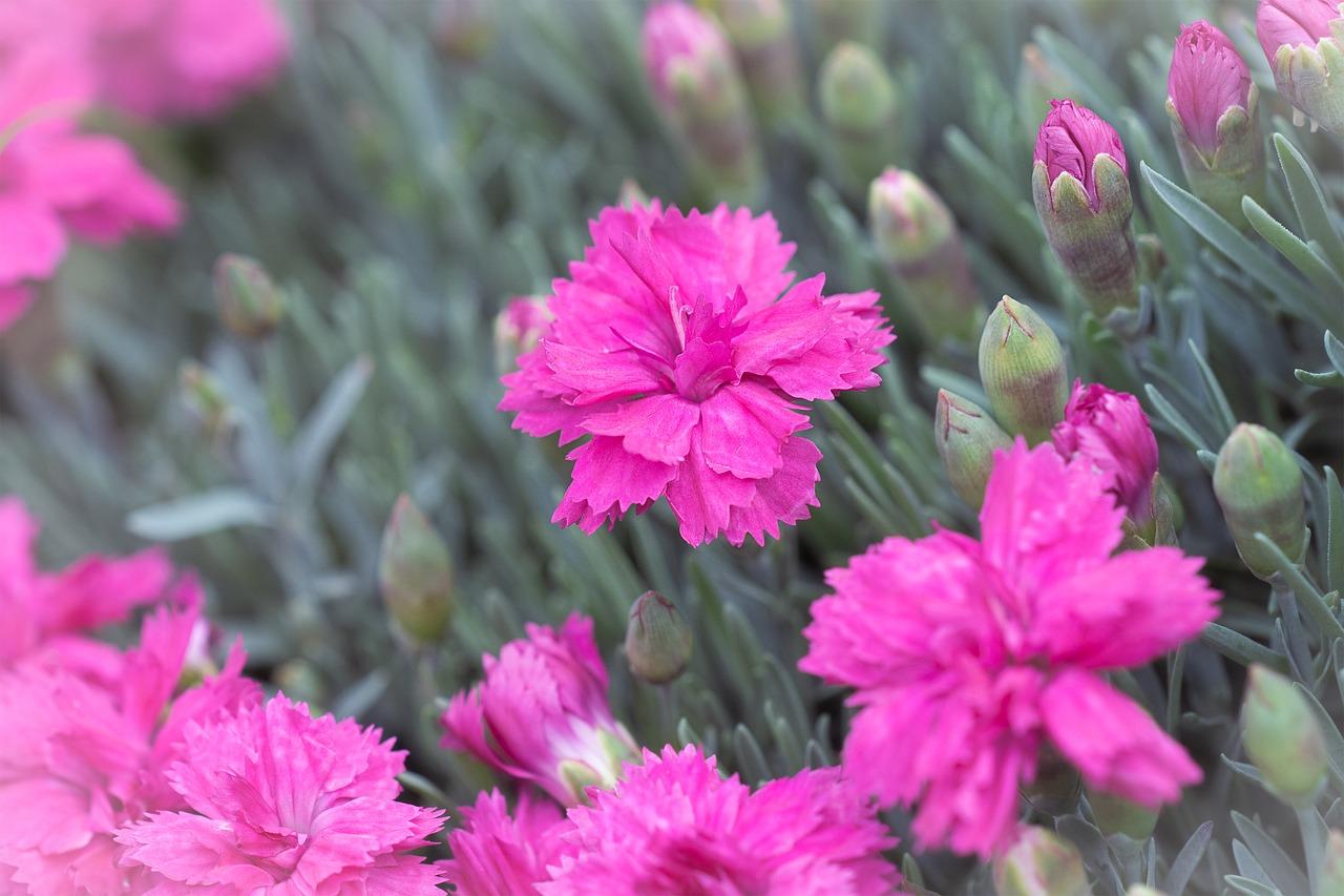 6. 及时封闭保养