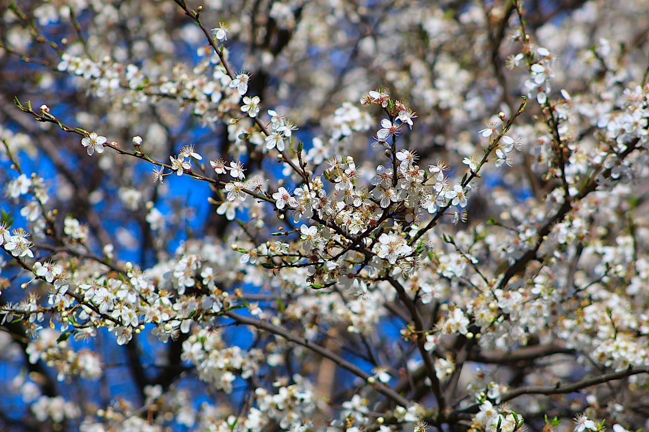 2. 舒适户型设计