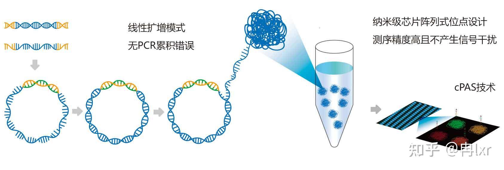 Gene+Seq-200基因测序仪 - 知乎