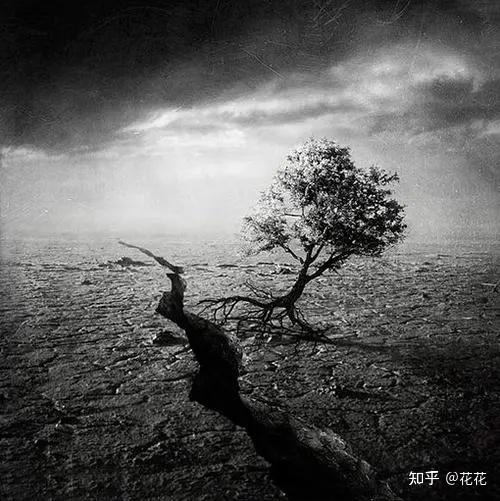 你们人生最黑暗低谷的时候身边还有谁