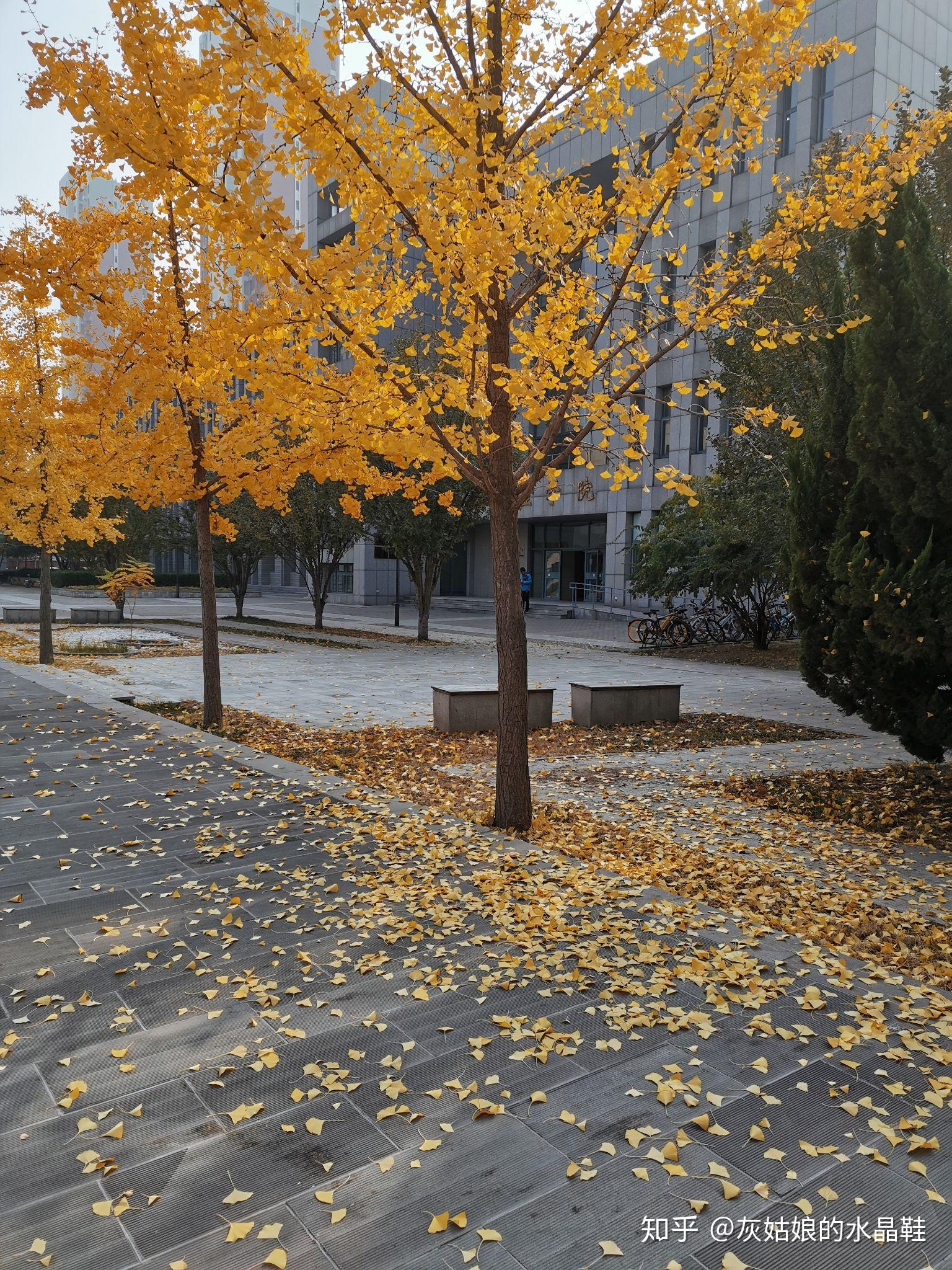 天津城建大学和天津大学合并_天津城建大学认可度_天津城建大学有多差