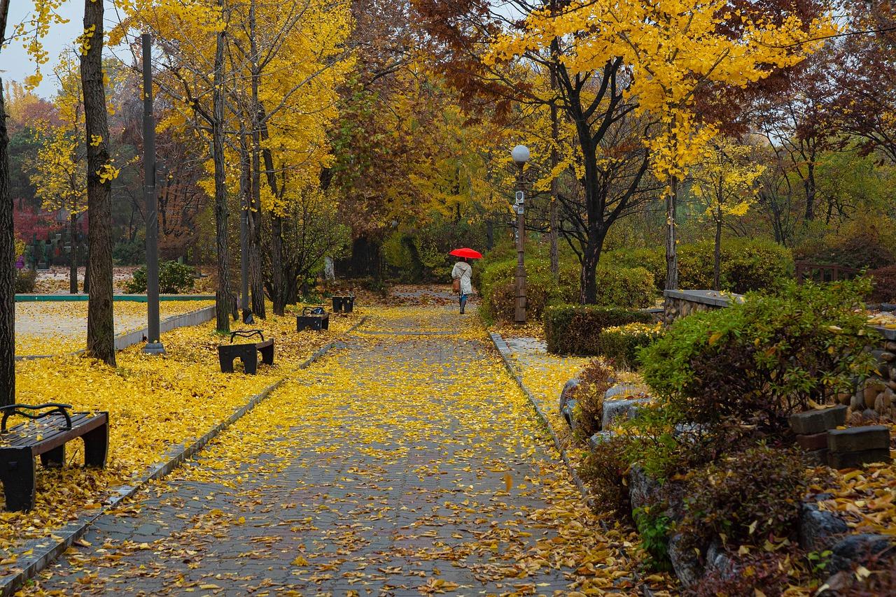 4. 香樟园户型解析