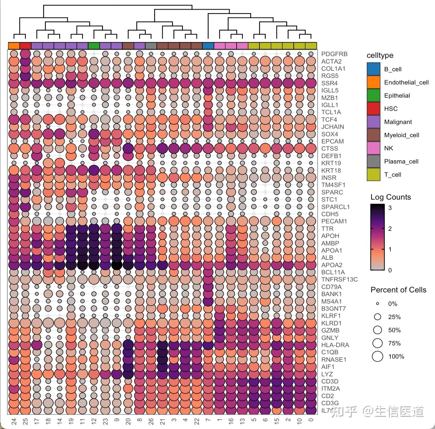 使用scDotPlot包绘制单细胞超绝marker基因气泡图！ - 知乎