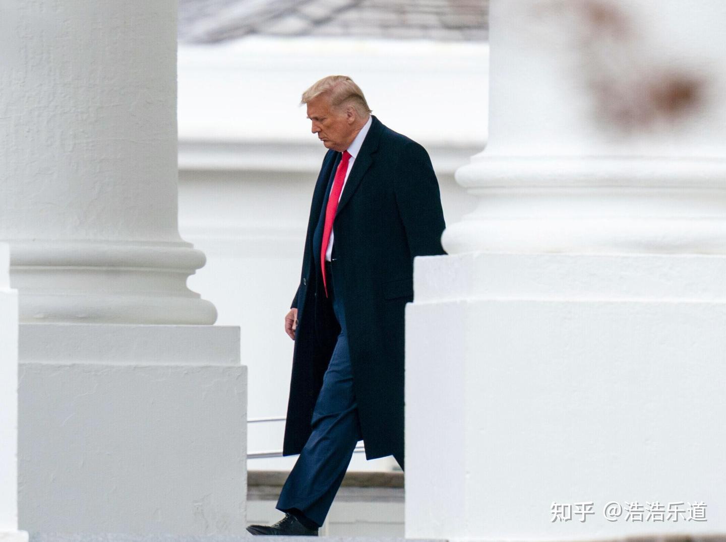 特朗普预言将被捕，称“美国梦已死！”，马斯克力挺懂王- 知乎